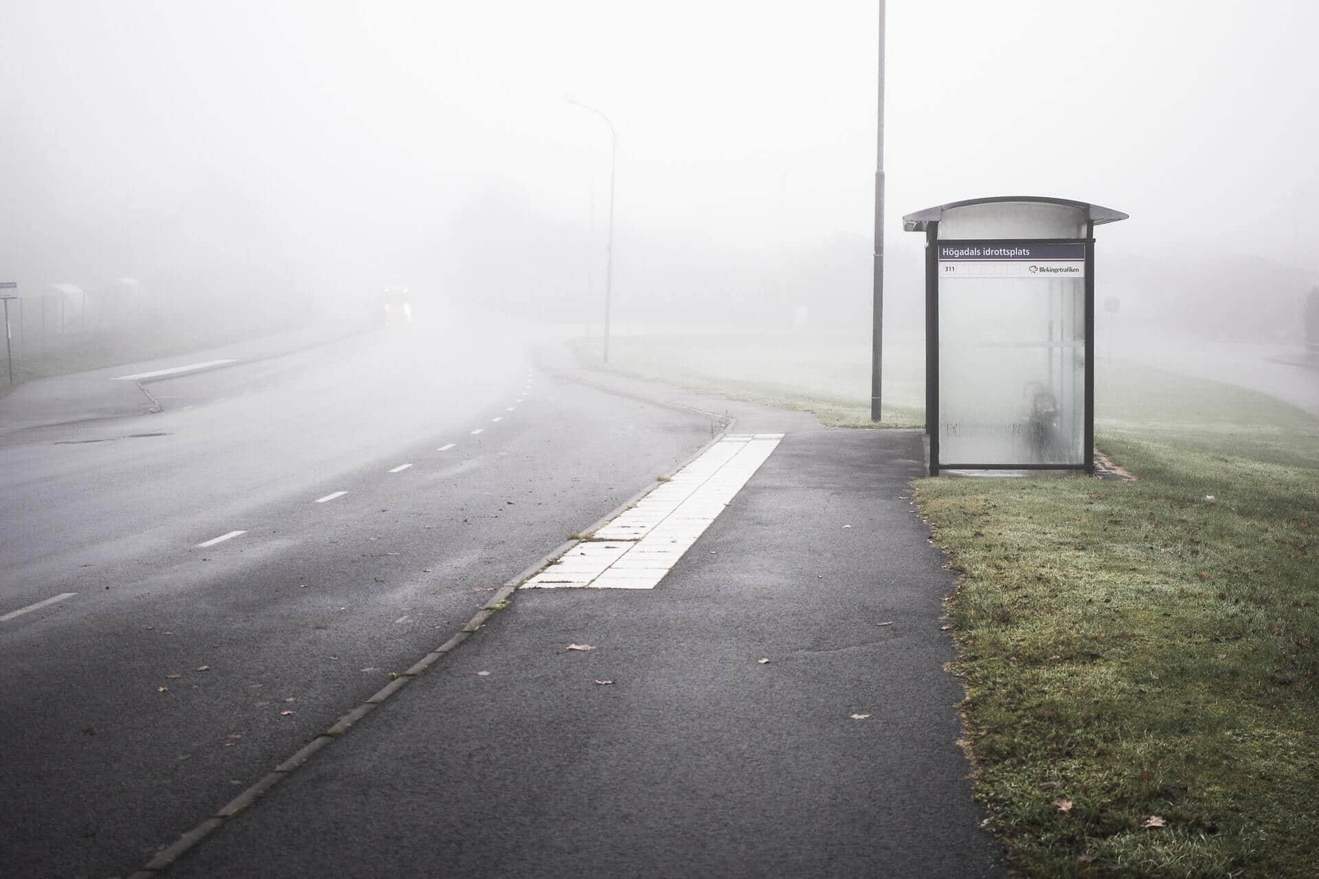 Kto odpowiada za wiaty przystankowe?